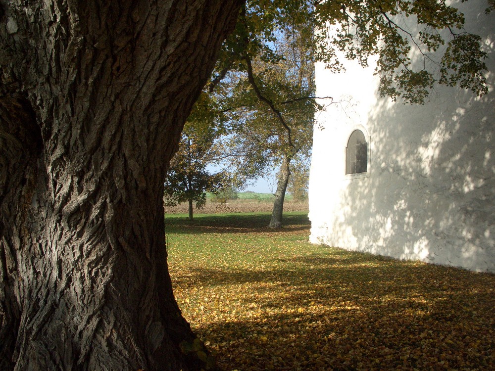 Beim Öden Kloster