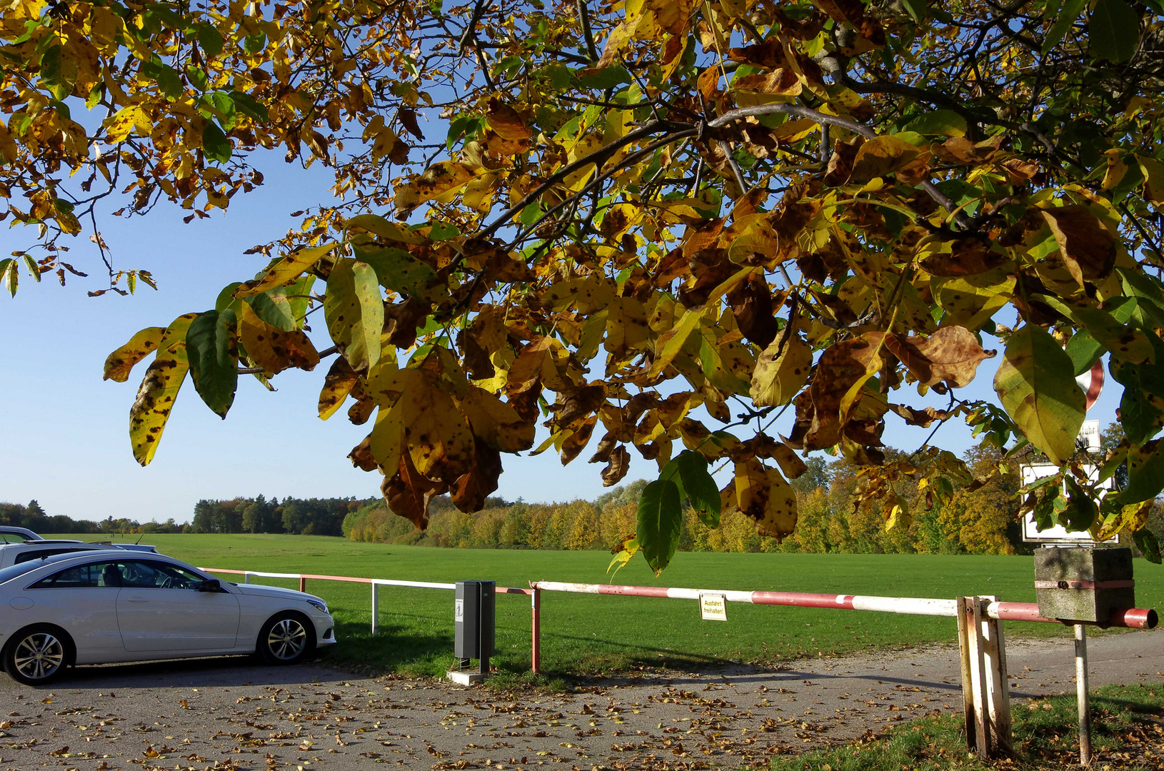 ..beim Parkplatz