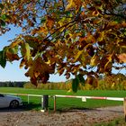 ..beim Parkplatz