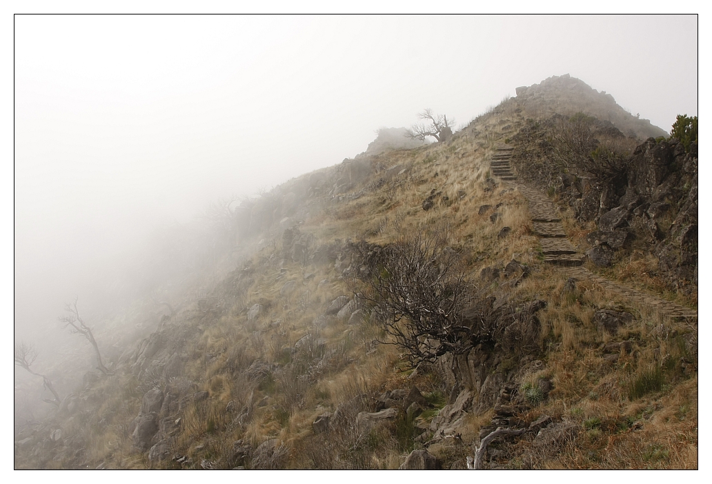 Beim Pico Ruico, Madeira (1)