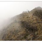 Beim Pico Ruico, Madeira (1)