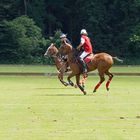 Beim Poloturnier