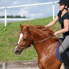 Beim Reiten kommt Freude auf .