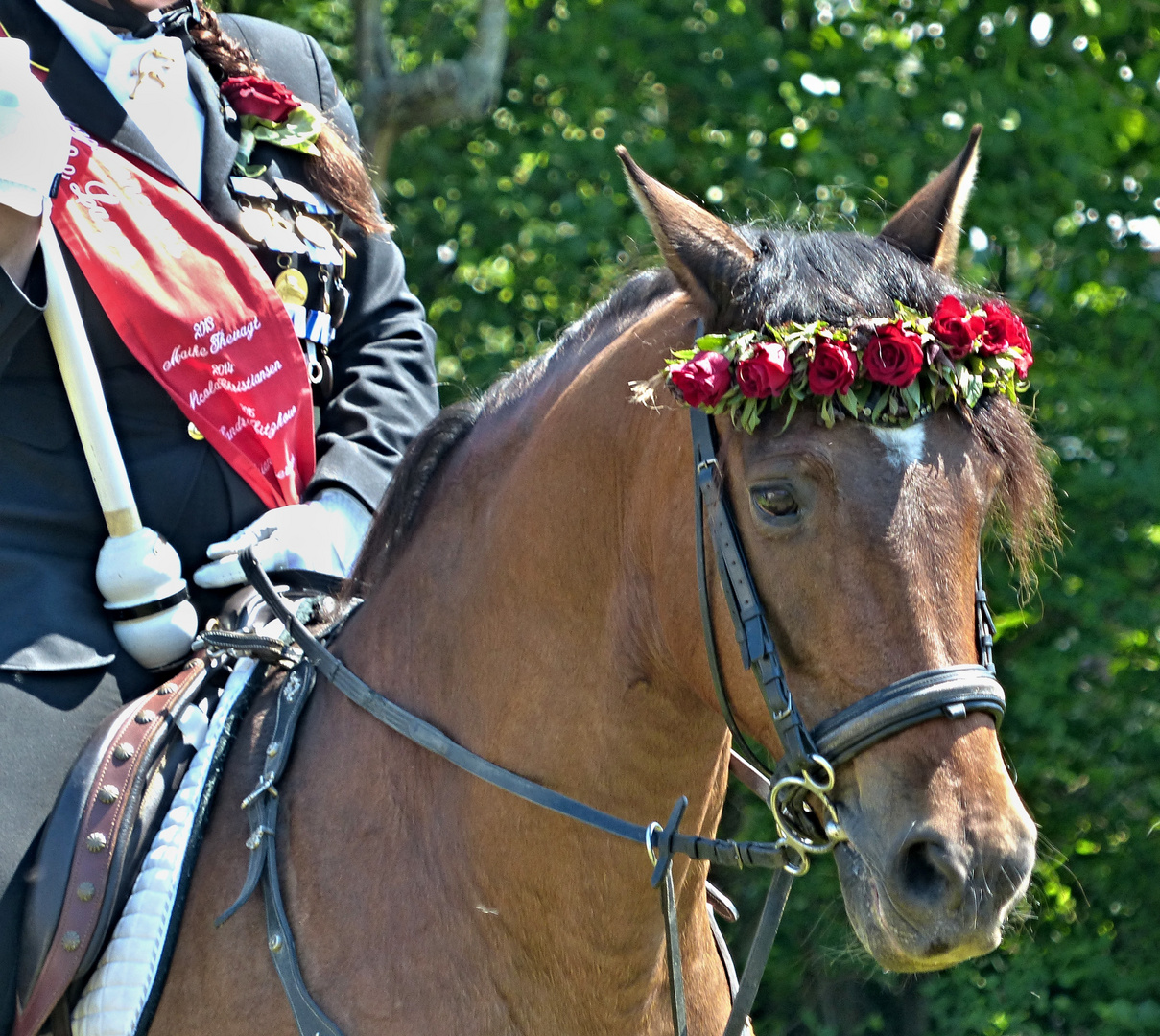 beim Ringreiten