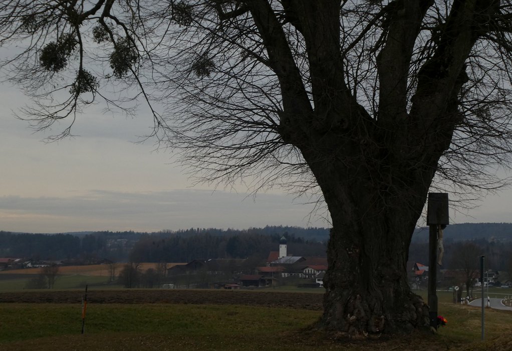 Beim Rumkarriolen Ruhe finden