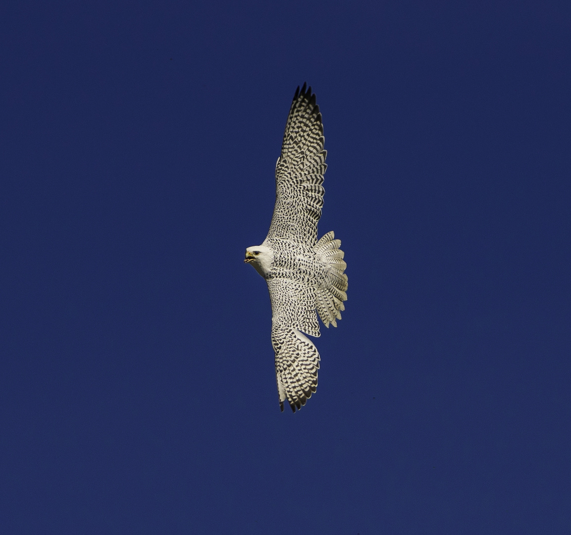 Beim Rundflug