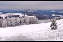 beim Rundgang.....