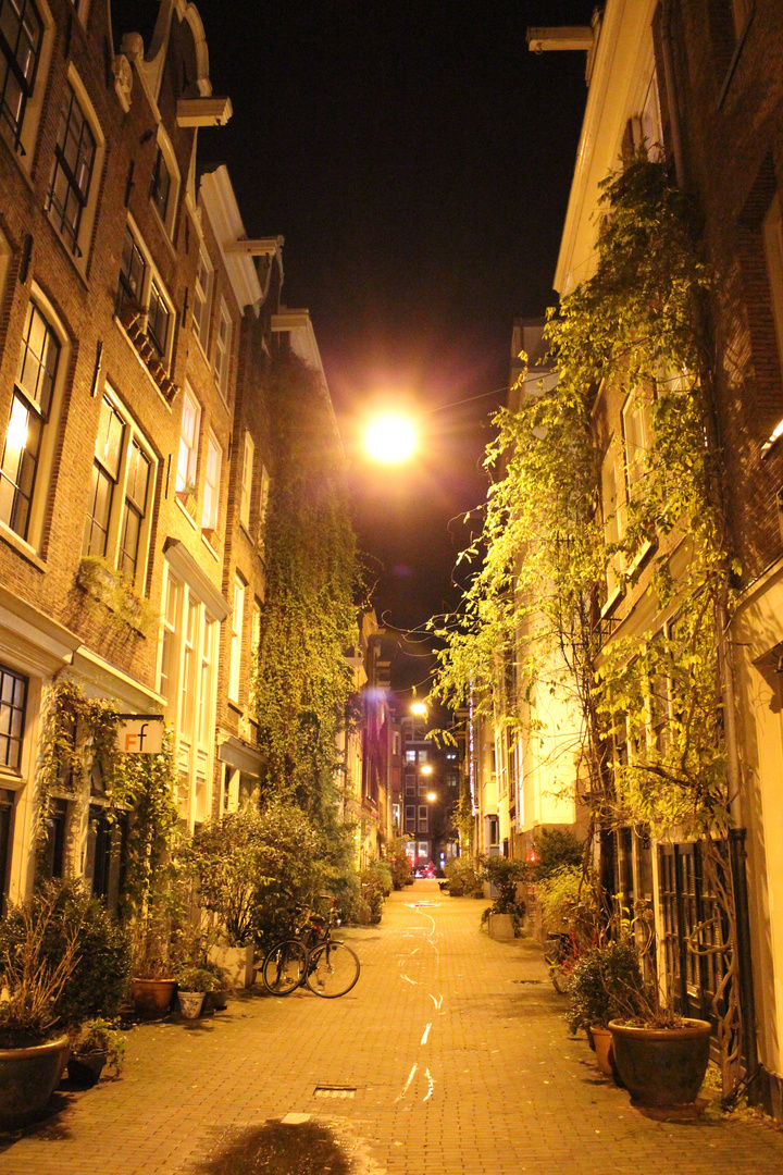 beim schlendern durch Amsterdam eine nette, kleine, ruhige Gasse gefunden. Traumhaft idyllisch