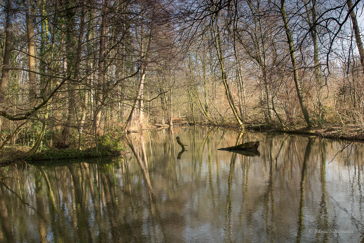 Beim Schloß Morsbroich (2)