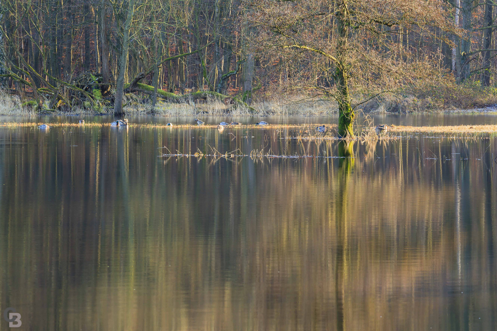 Beim Schloß Schönebeck II.