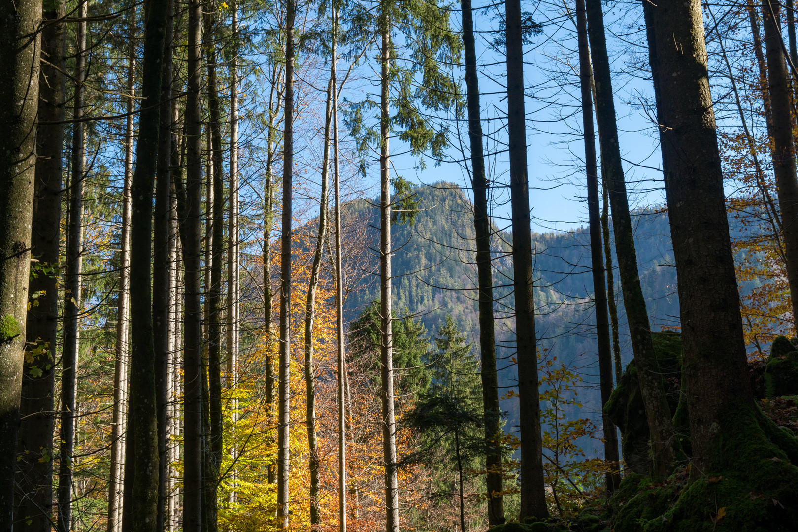 Beim Schmugglerweg