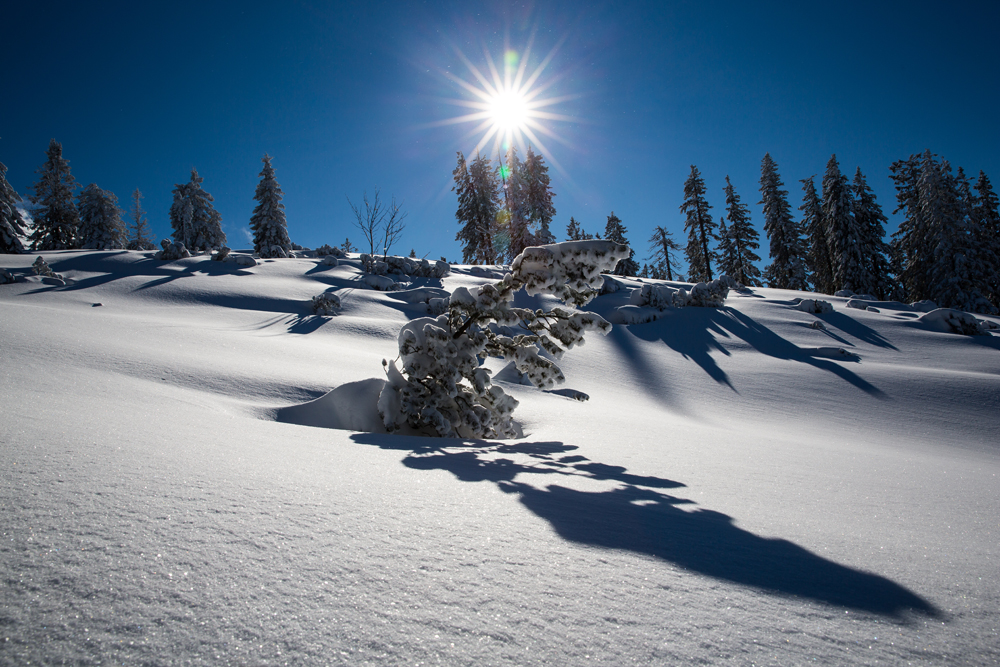 beim Schneeschuhwandern