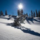 beim Schneeschuhwandern