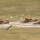 Beim Schwimmkurs ;)