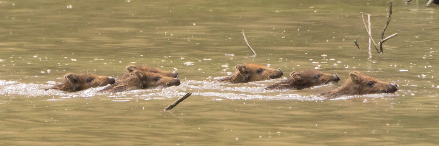 Beim Schwimmkurs ;)