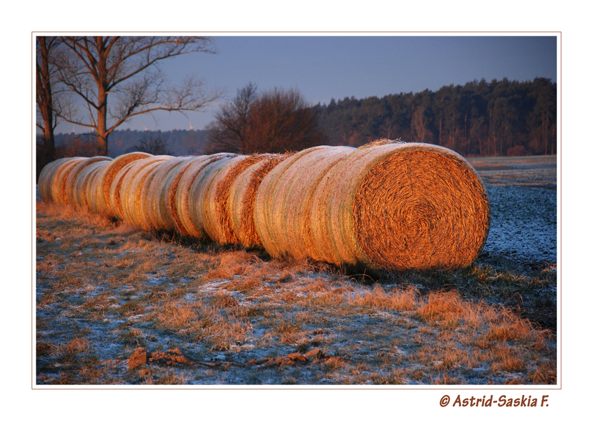 ~beim Sonnenaufgang~