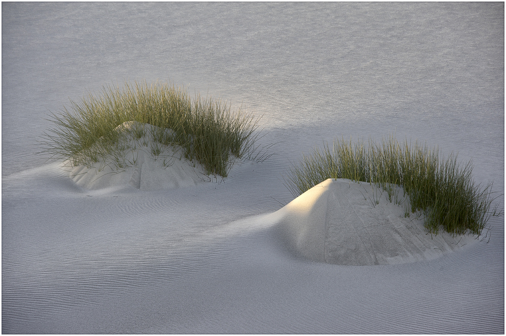 Beim Sonnenaufgang - At sunrise