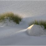 Beim Sonnenaufgang - At sunrise