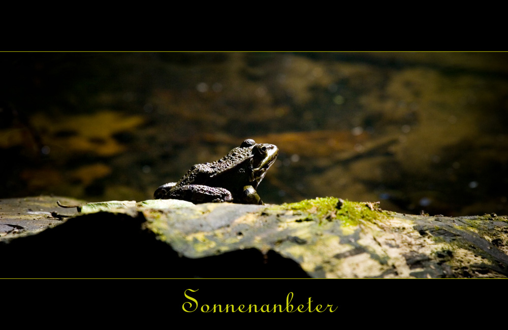 Beim Sonnenbaden....