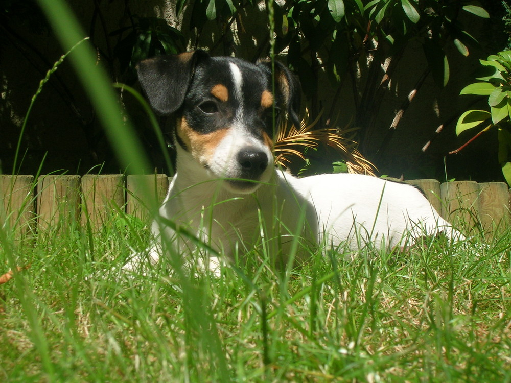 Beim Sonnenbaden