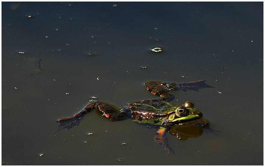 beim Sonnenbaden erwischt