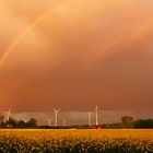 beim Sonnenuntergang