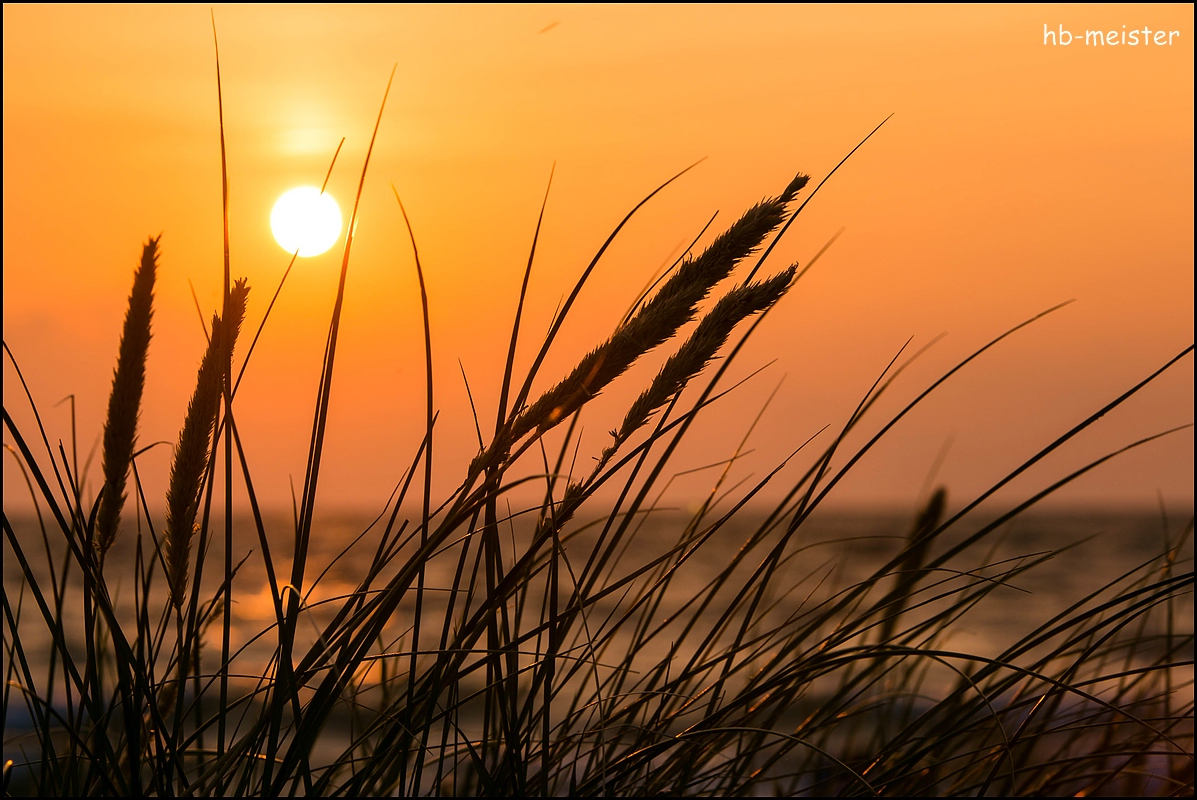 Beim Sonnenuntergang