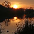 beim Sonnenuntergang gespiegelt