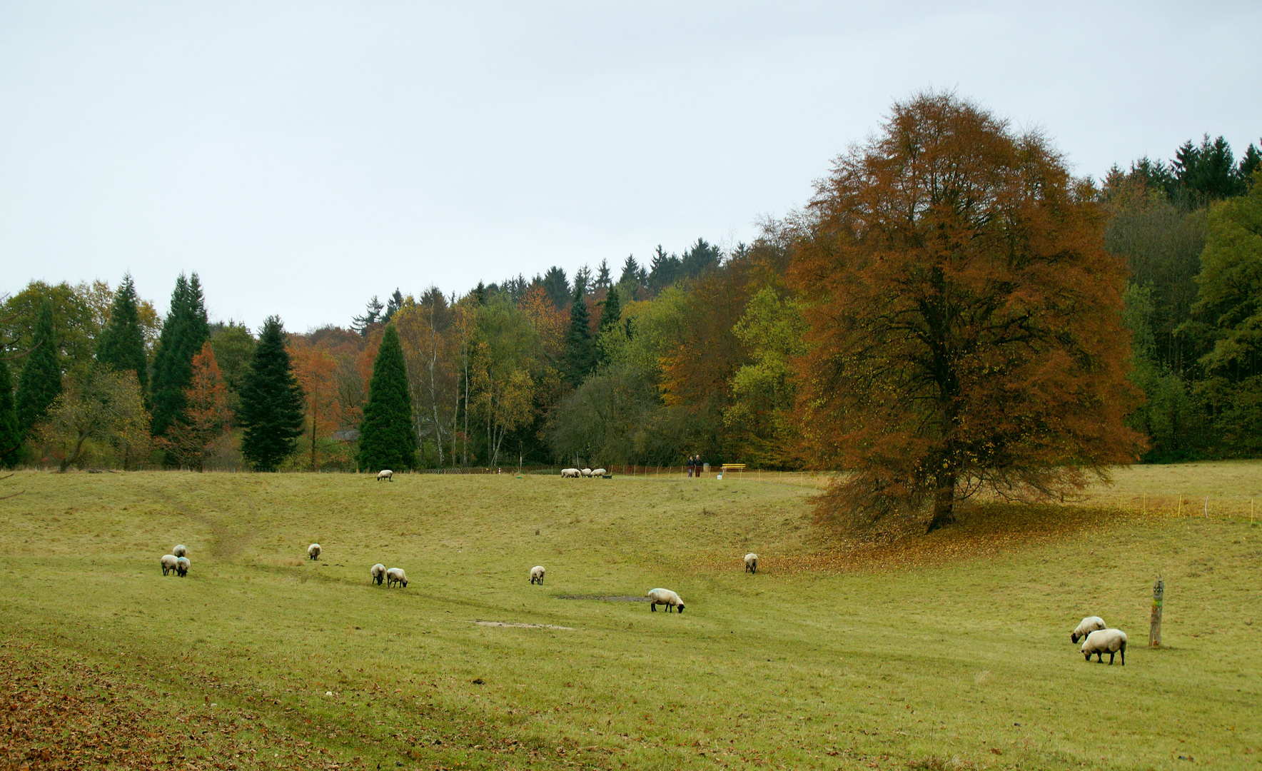 Beim Sonntagsspaziergang