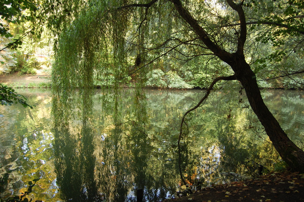 Beim Sonntagsspaziergang