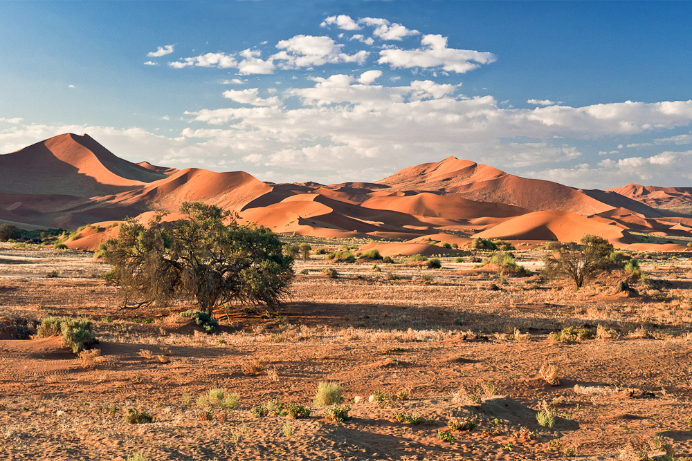 Beim Sossusvlei