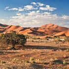 Beim Sossusvlei