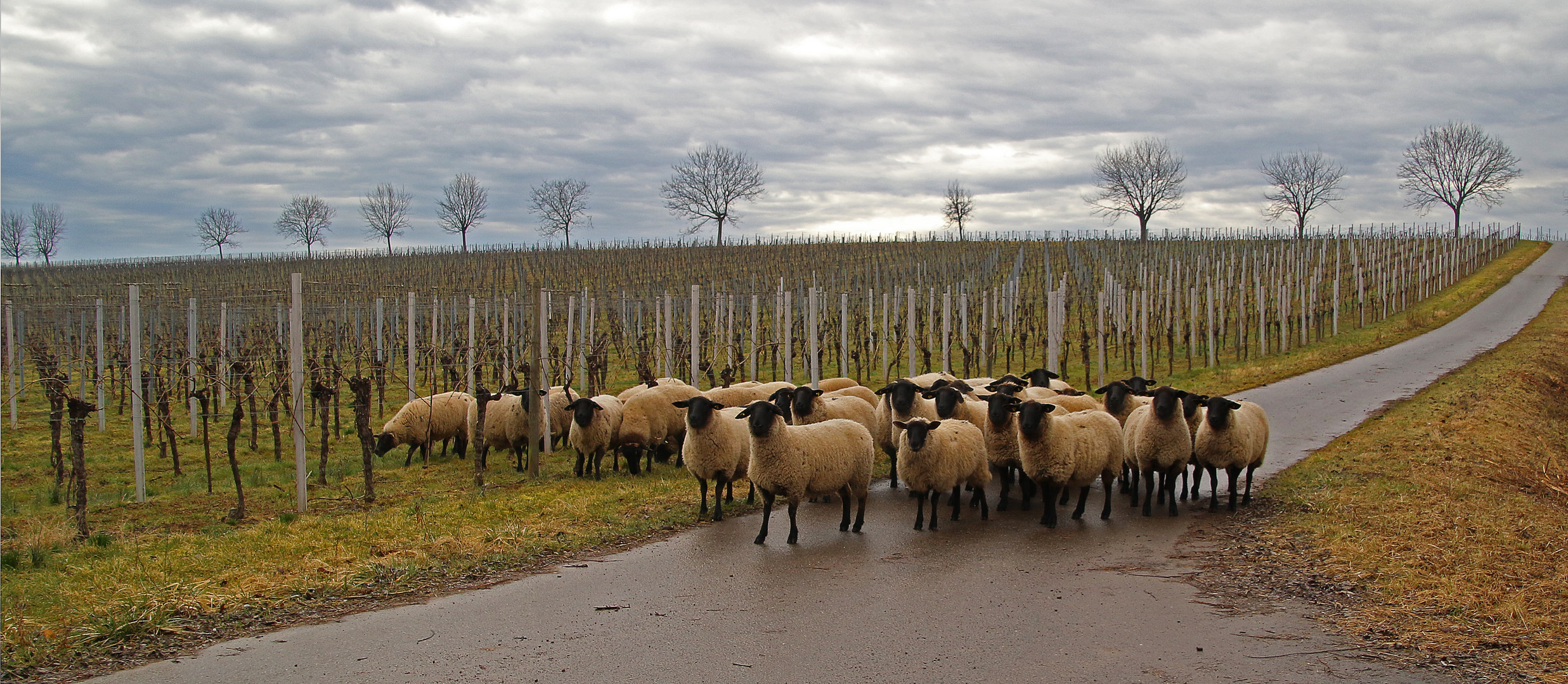 Beim Spaziergang