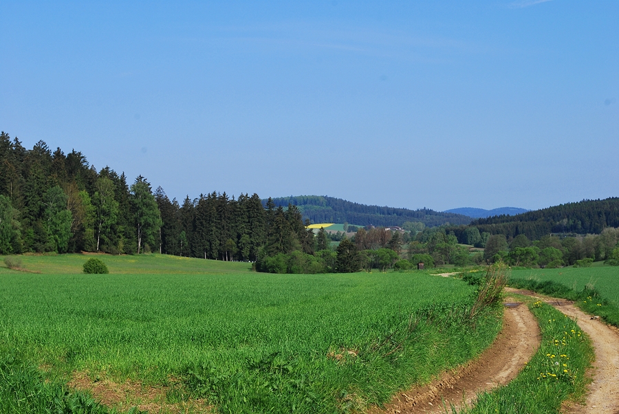 beim Spaziergang