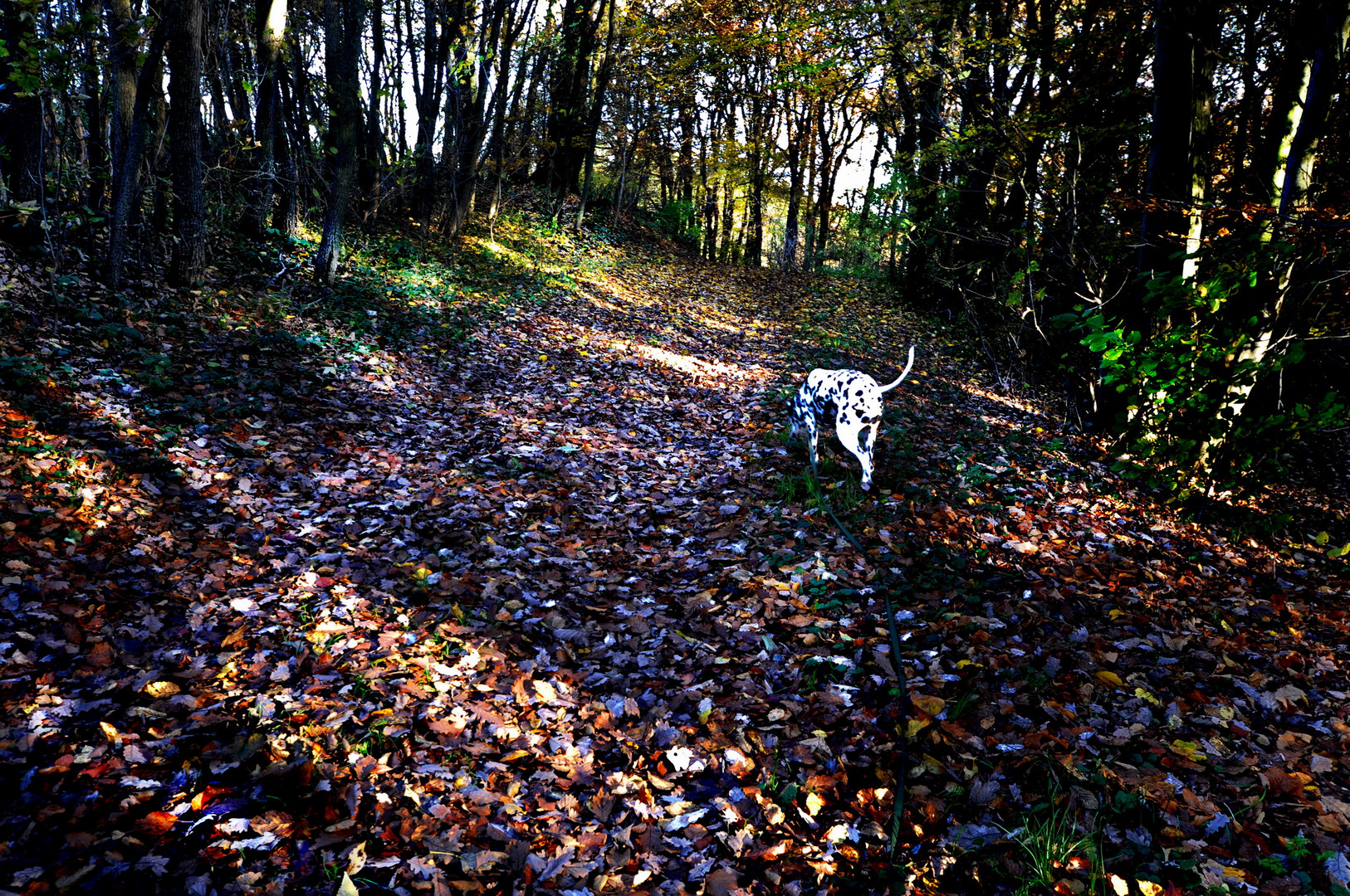 beim Spaziergang