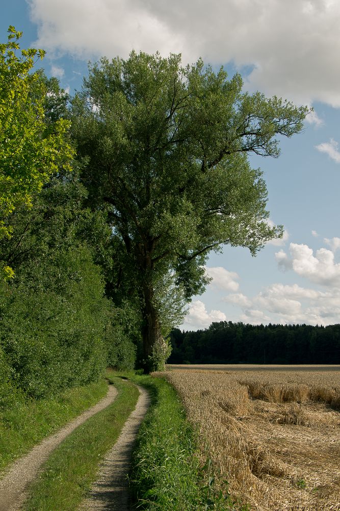 Beim Spaziergang