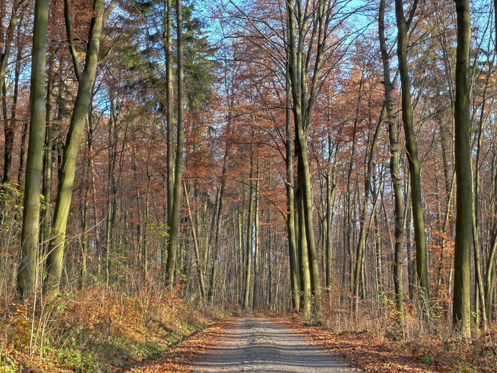 Beim Spaziergang ...........