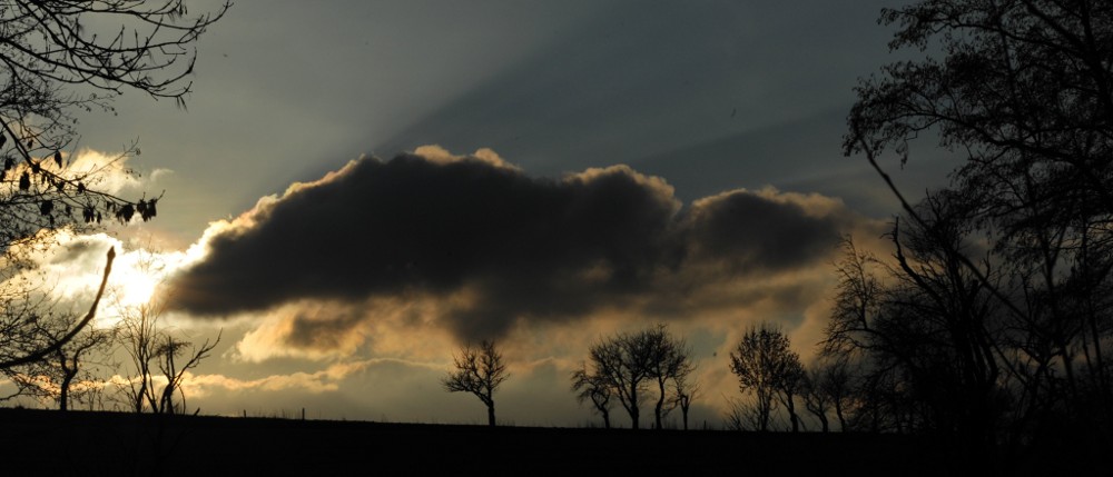 Beim Spaziergang....