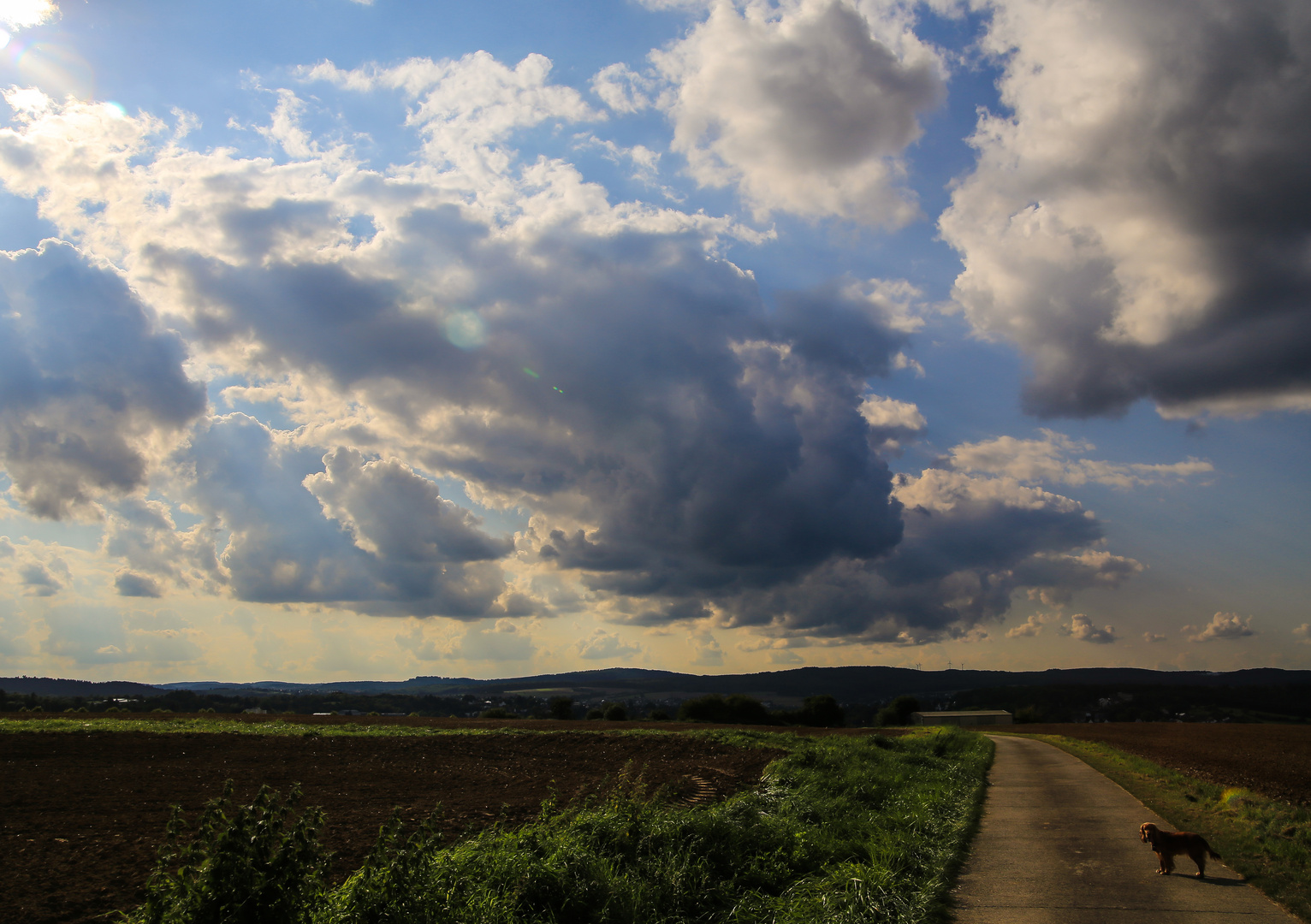 Beim Spaziergang am Nachmittag...02