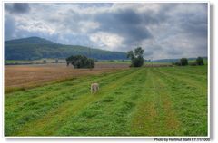 Beim Spaziergang mit Bonnie