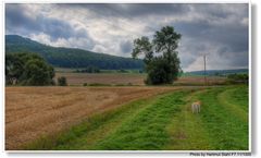 Beim Spaziergang mit Bonnie II