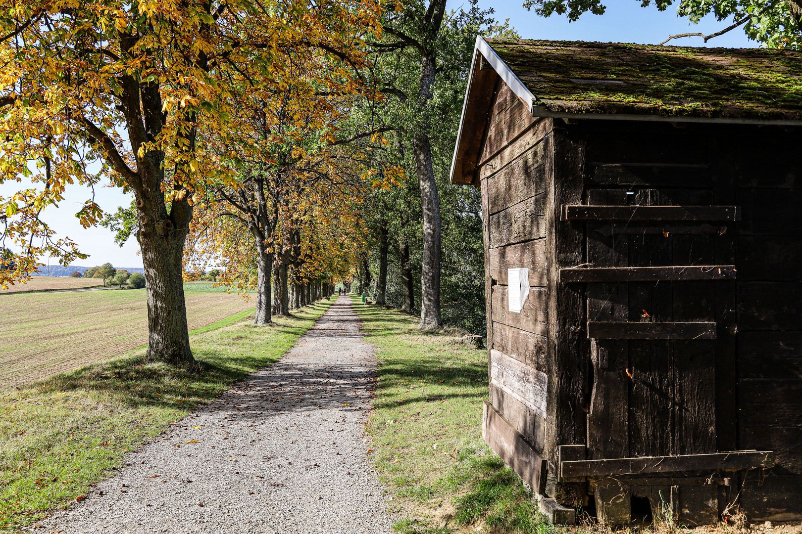 Beim Spaziergang rund...