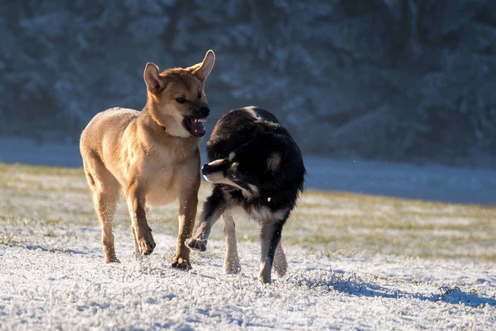 Beim Spielen 1