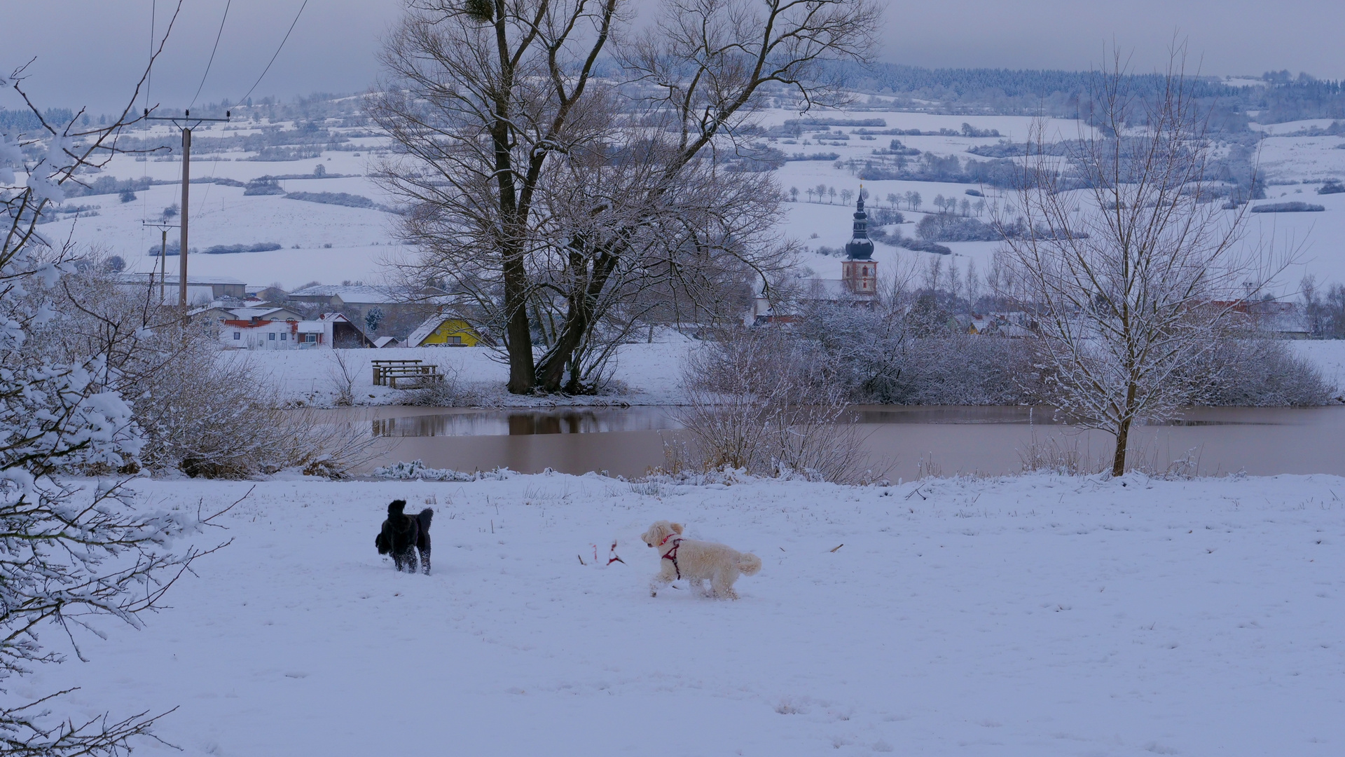 beim Spielen im Schnee (jugando en la nieve)