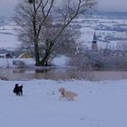 beim Spielen im Schnee (jugando en la nieve)