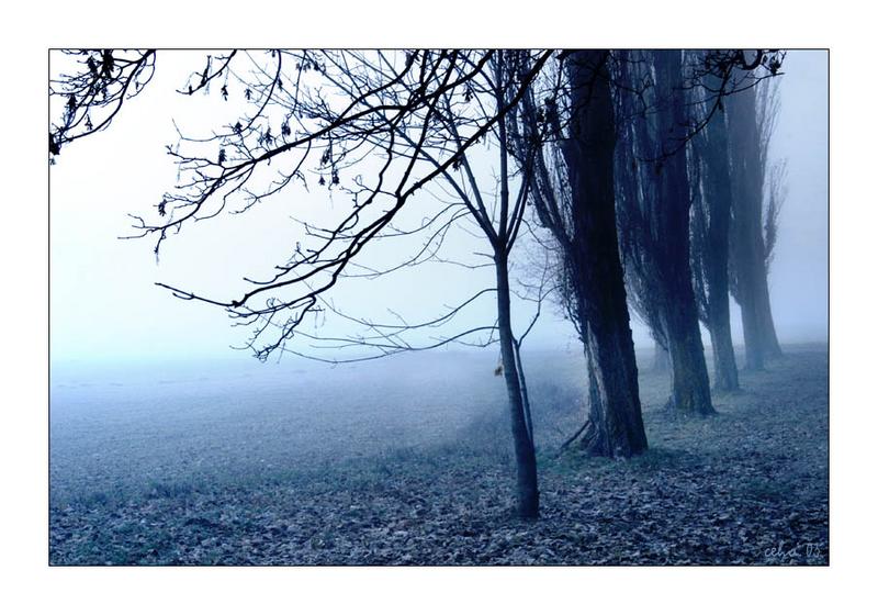 Beim Stoanehaufen 4