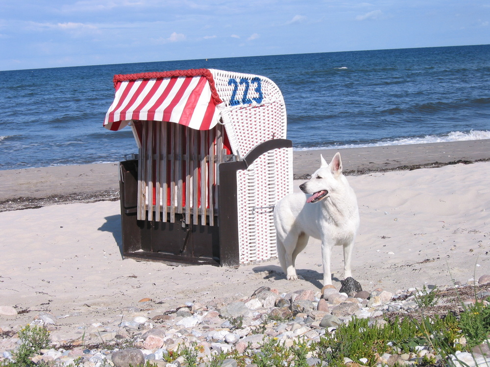 beim Strandkorb