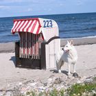 beim Strandkorb