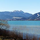 Beim Tegernsee 1