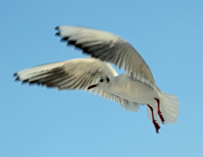 Beim Überflug